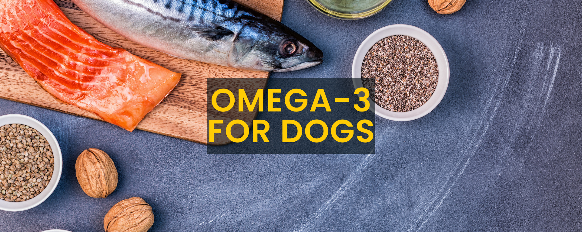 Omega 3 fish outlet oil for dogs benefits