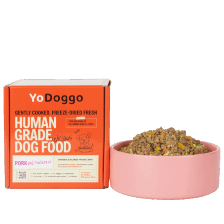 YoDoggo Pork & Mackerel gently cooked, freeze-dried human-grade dog food in retail box with serving bowl