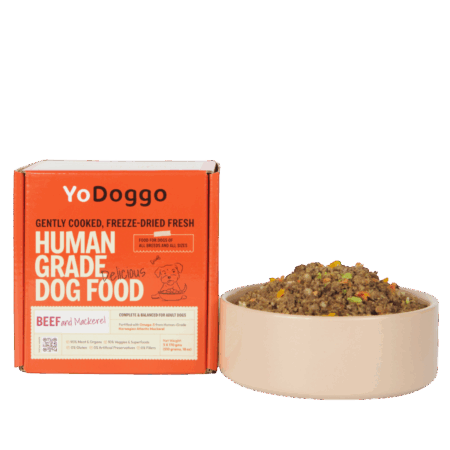 YoDoggo Beef & Mackerel gently cooked freeze-dried fresh dog food made with human-grade beef and Norwegian Atlantic mackerel