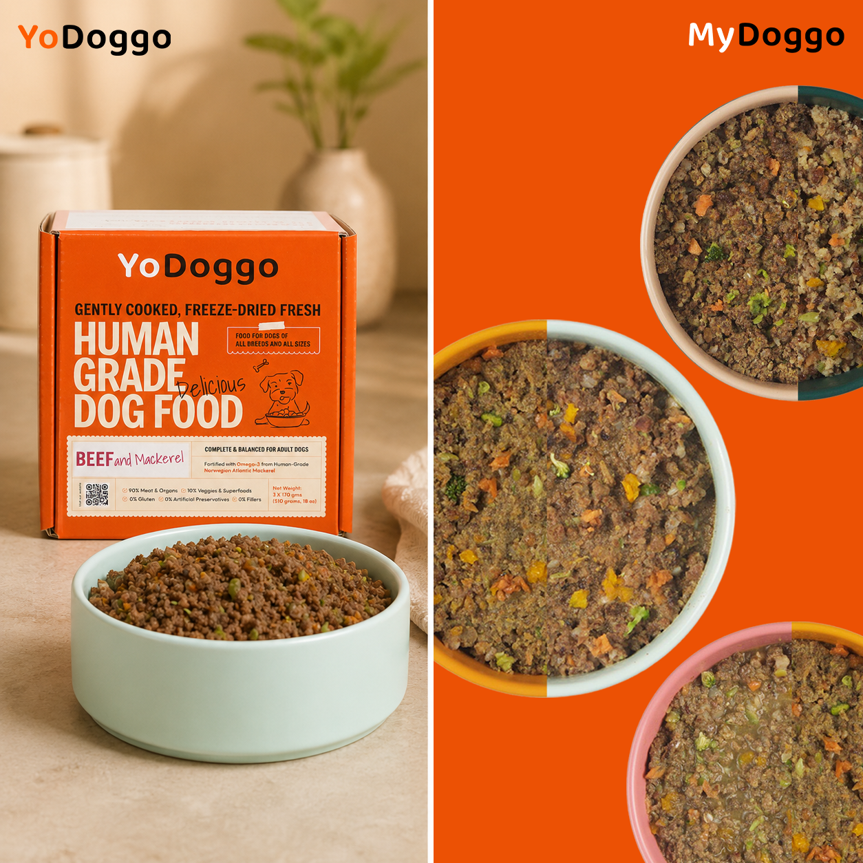 MyDoggo Meal Plan or Standard Range?