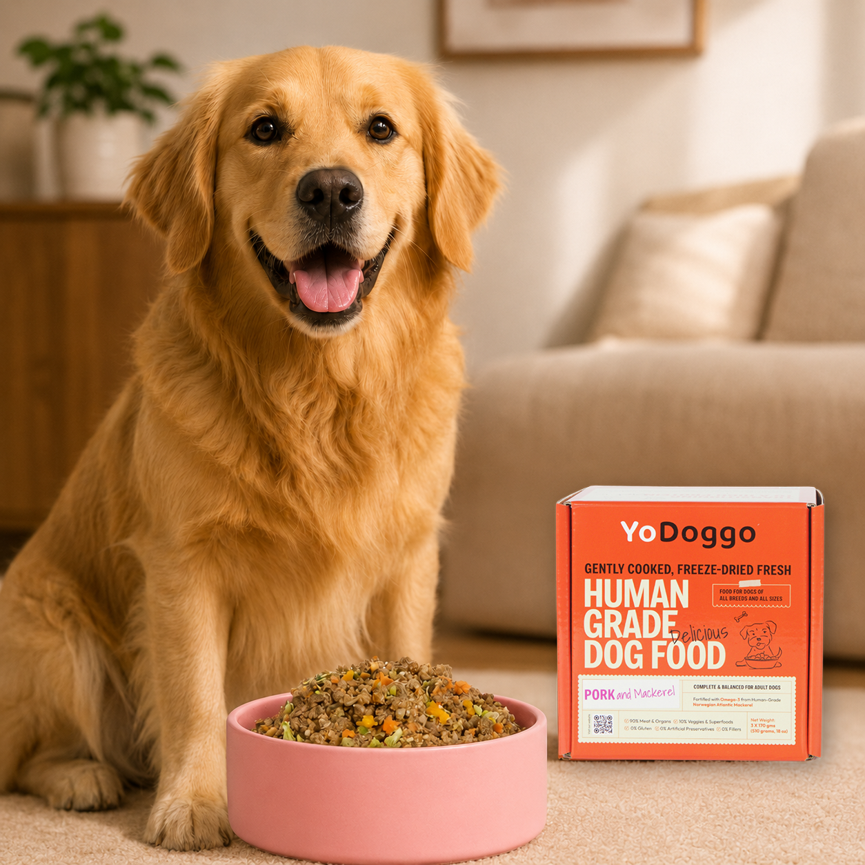 You Love Your Dog. But Is Their Food Actually Built for Them?